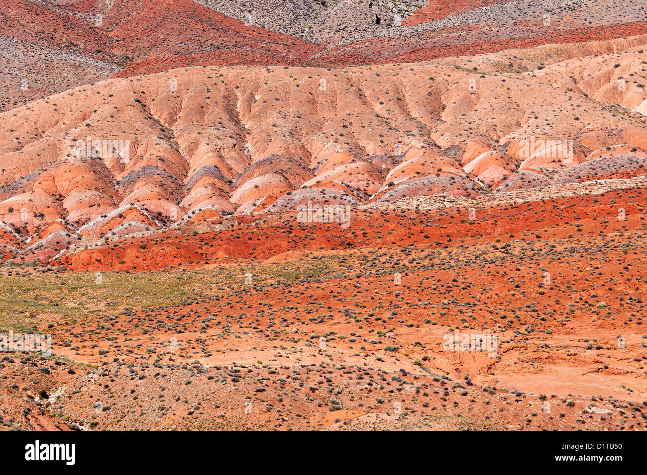 Colorful Dunes in Utah, USA Stock Photo