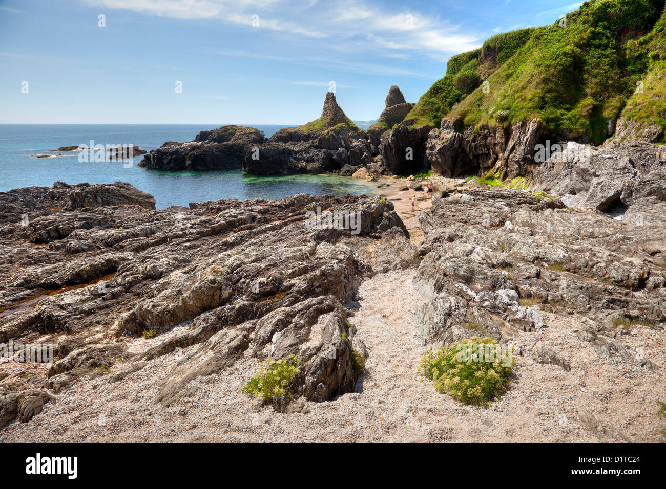 Wild flowers and rock formations, Great Mattiscombe Sand, Devon, England Stock Photo