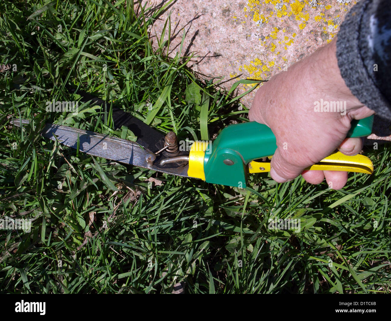Cutting Grass By Hand High Resolution Stock Photography and Images Alamy