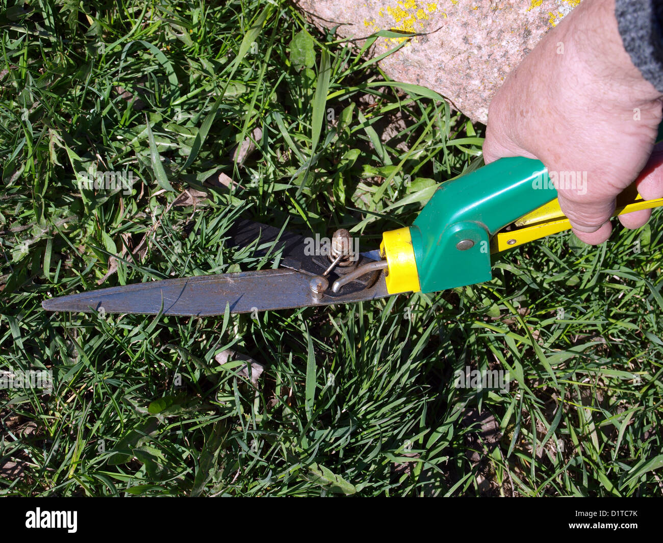 Tool Used For Cutting Grasses atelieryuwa.ciao.jp