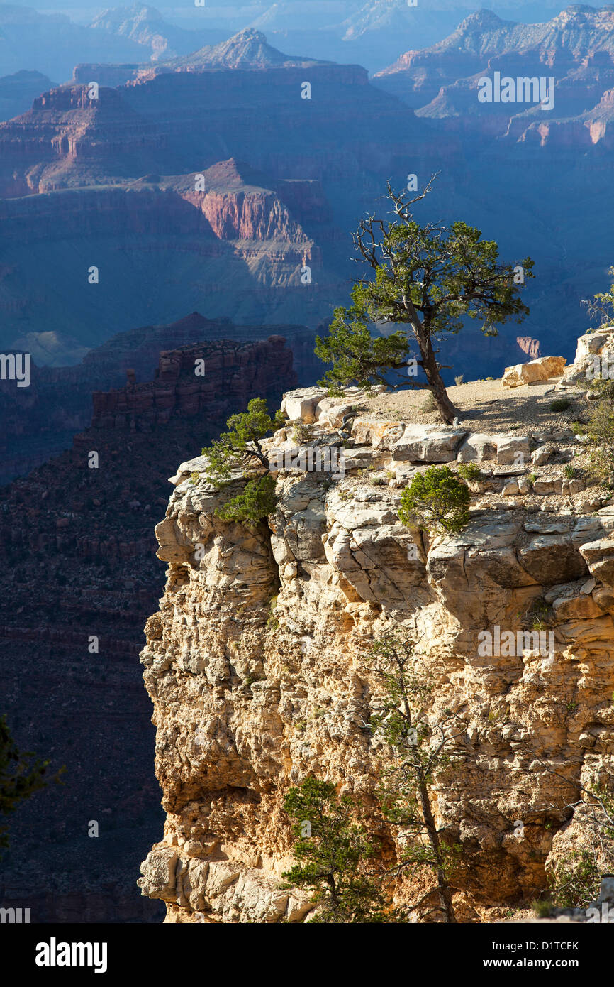 Grand Canyon NP Arizona, USA Stock Photo