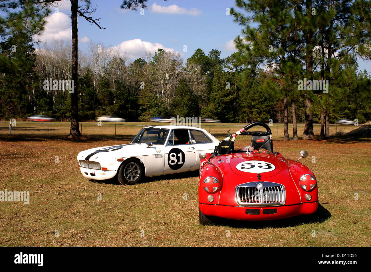 Racing MGB and MGA in the paddock during a Vintage Drivers Club of America event at Roebling Road Raceway near Savannah, Georgia Stock Photo