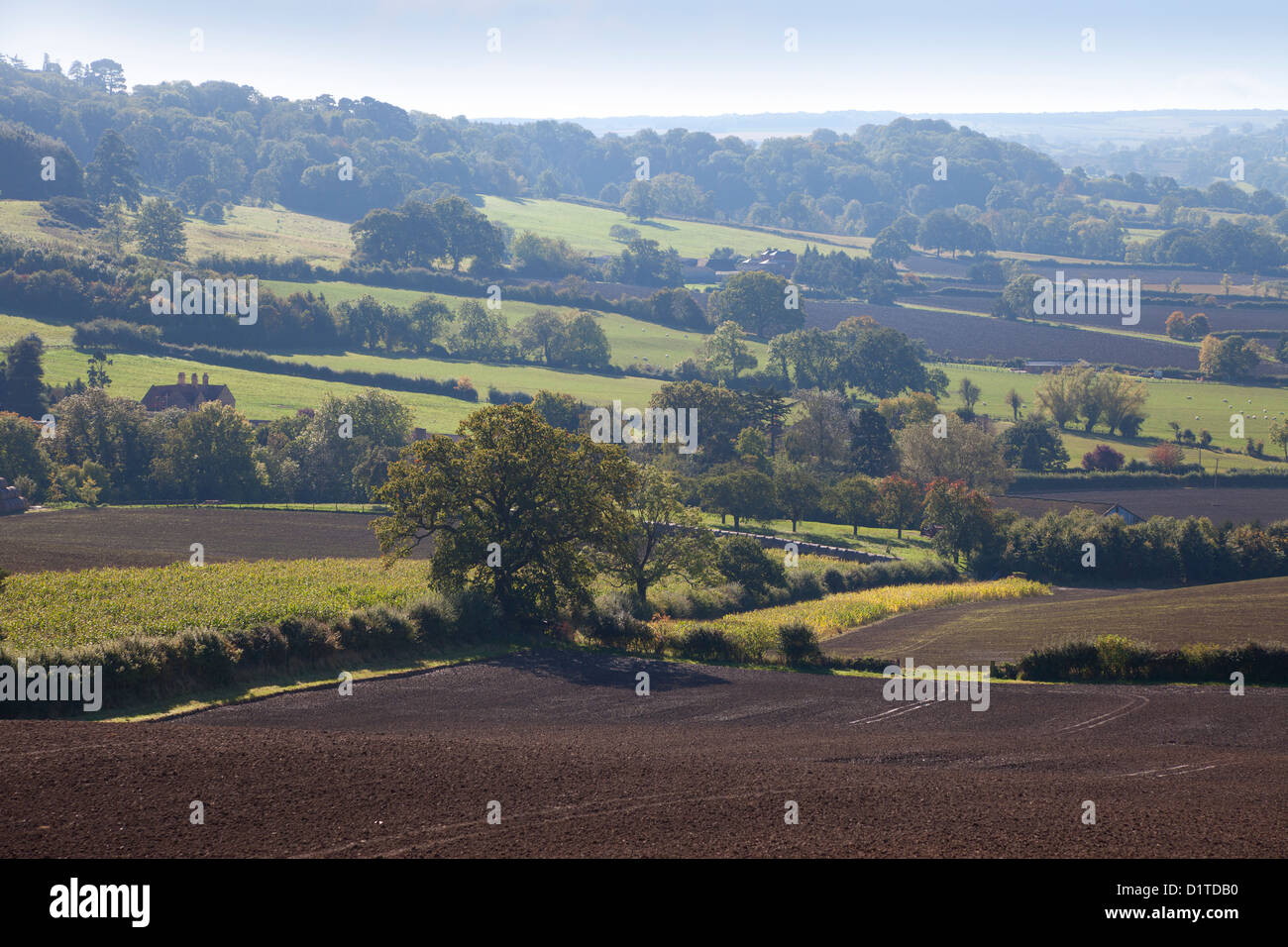 Rural field patterns, late Summer, England Stock Photo