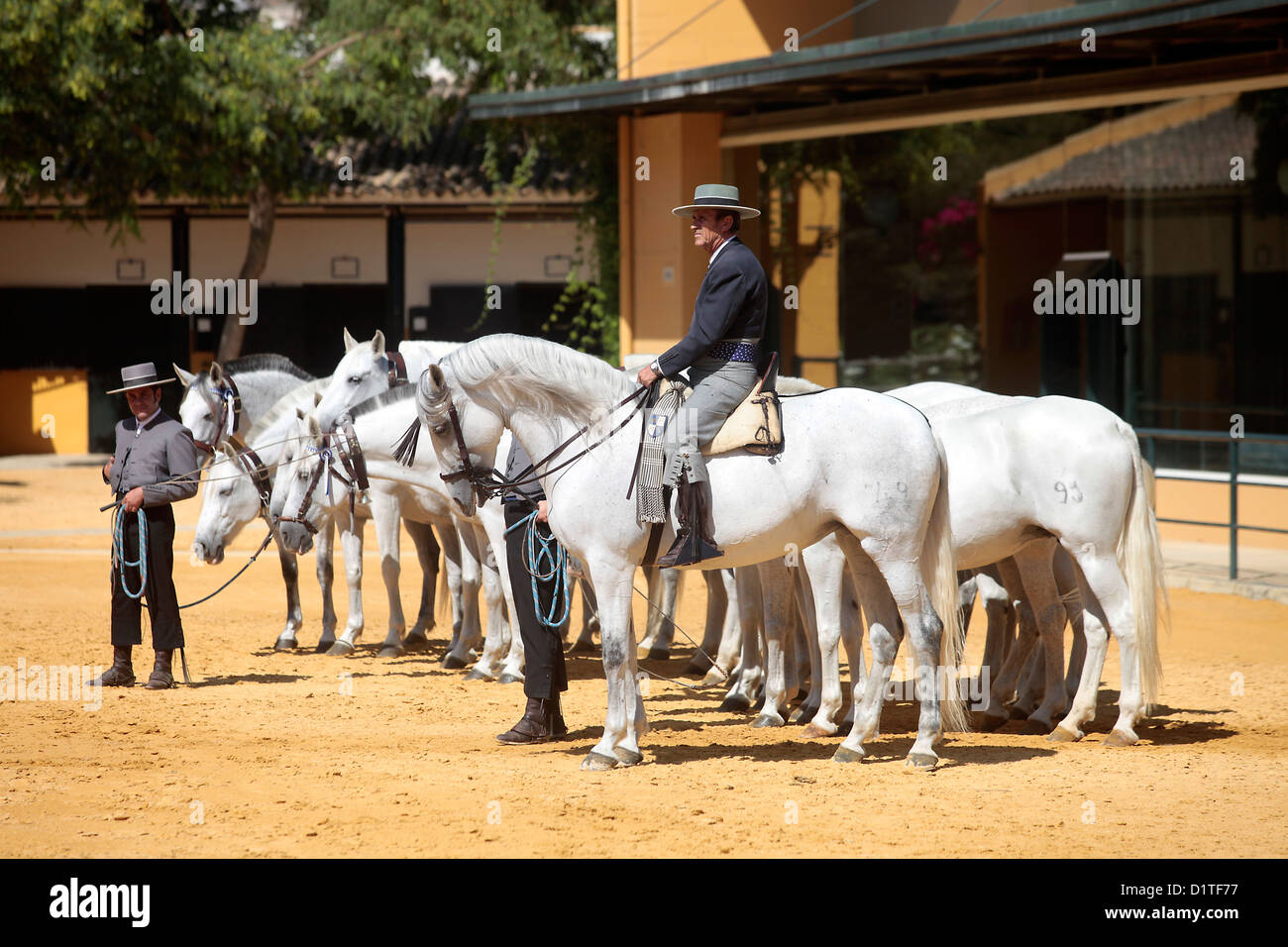 Jerez de la Frontera, Spain, horse show at the Stud Farm Yeguada de la