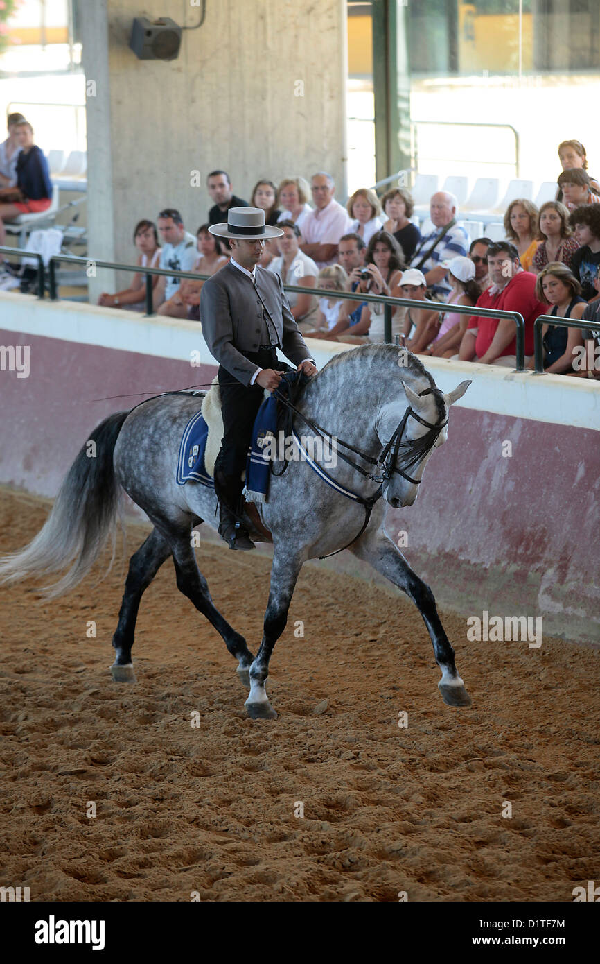 Jerez de la Frontera, Spain, horse show at the Stud Farm Yeguada de la