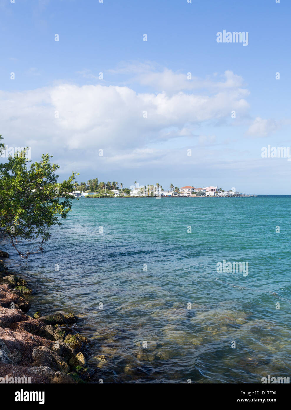 Homes by roadside in Florida Keys by Route 1 Overseas Highway Stock Photo