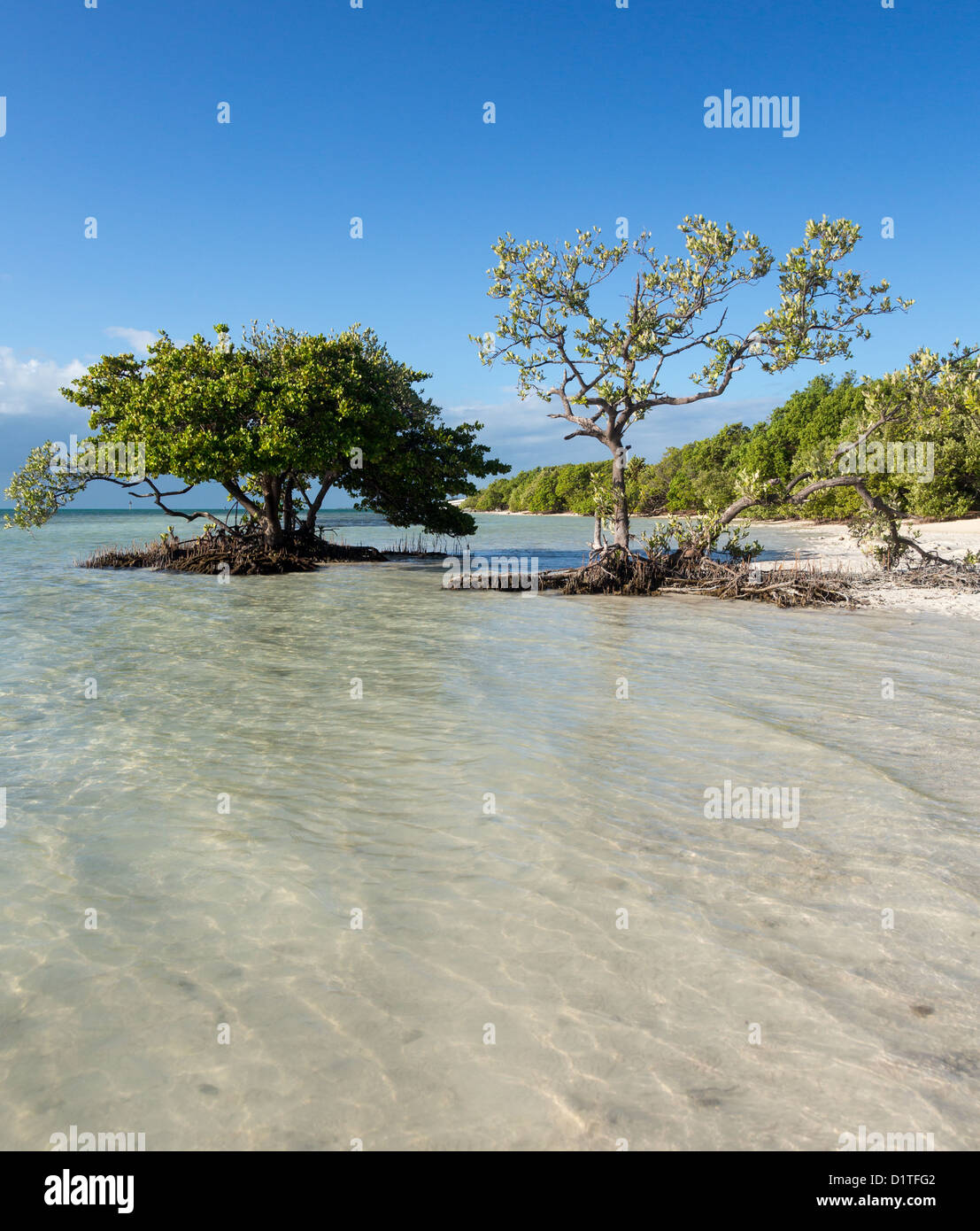 Anne's Beach by roadside in Florida Keys by Route 1 Overseas Highway Stock Photo