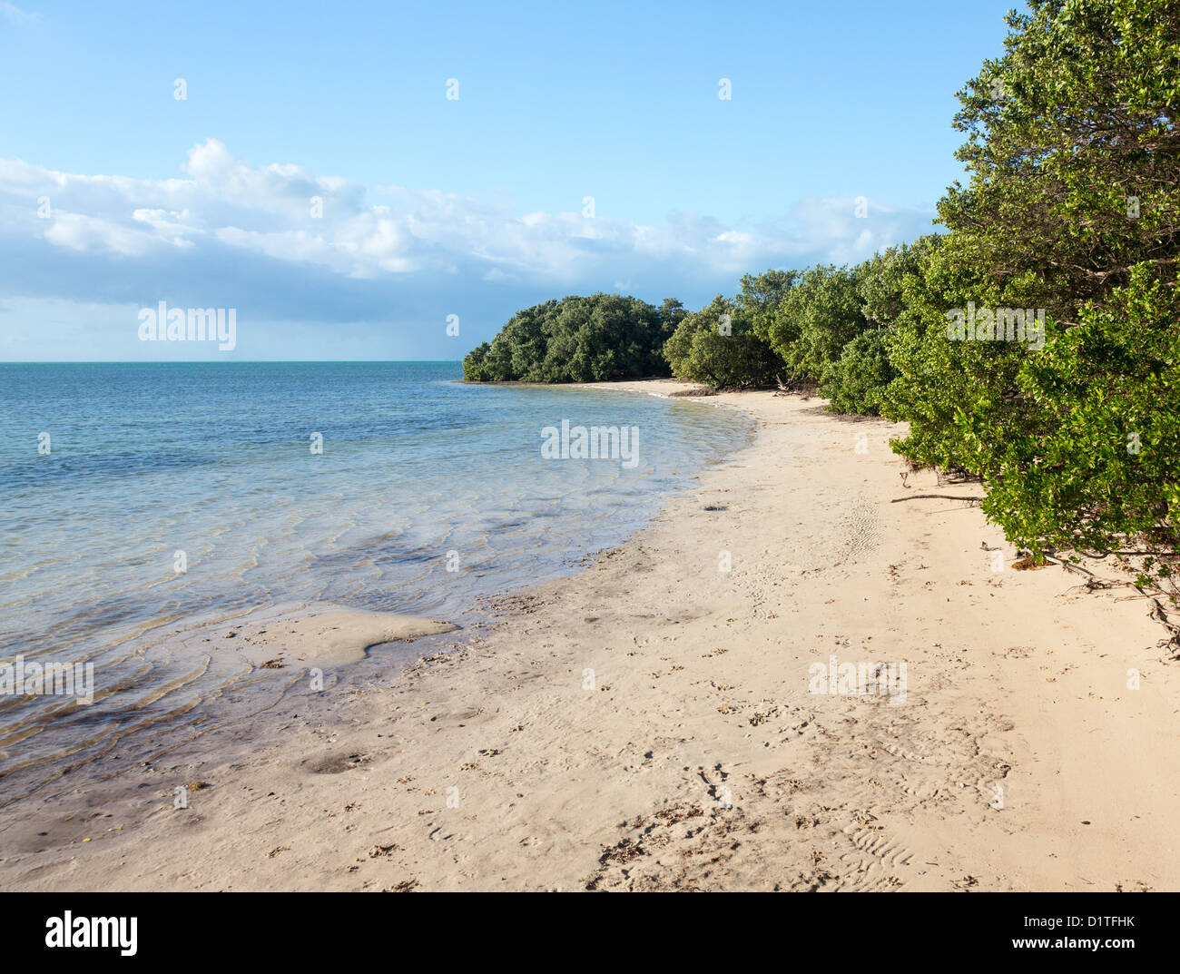 Anne's Beach in Lower Matecumbe Key, Florida Keys, USA Stock Photo Alamy