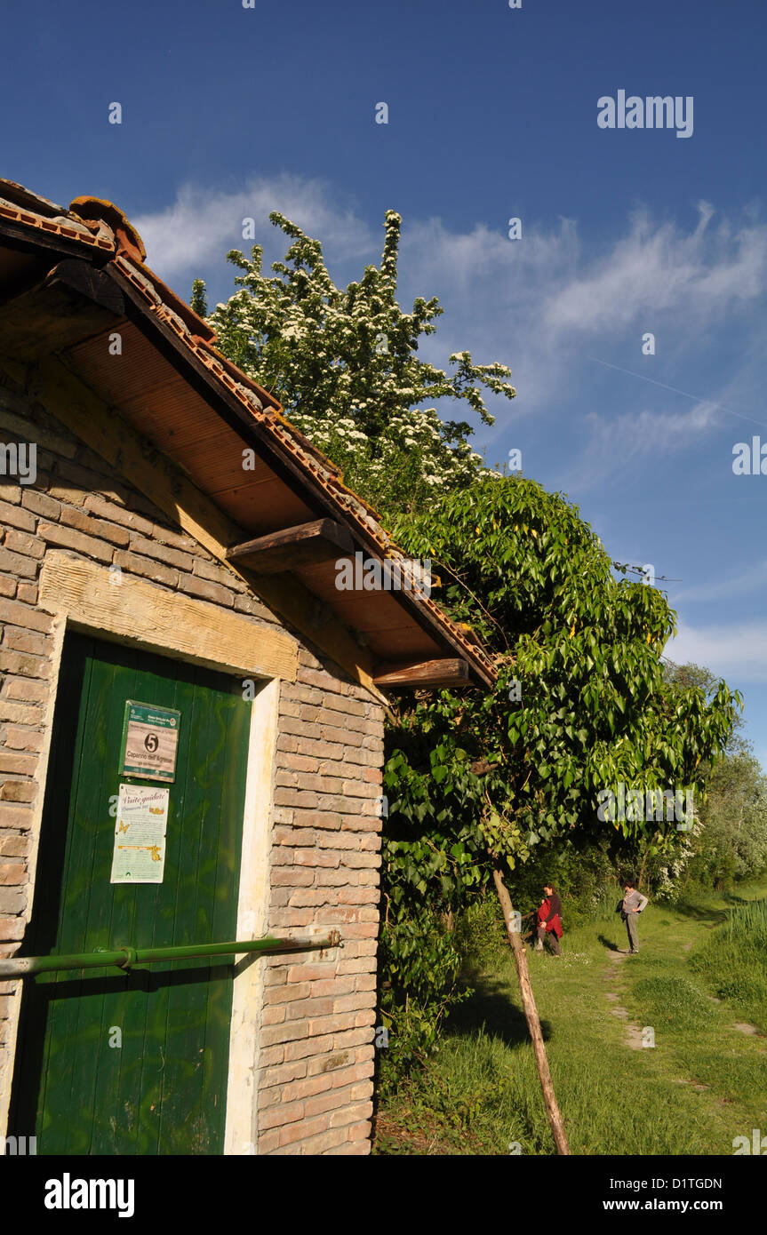 Po River Delta (Italy), Punte Alberete natural reserve Stock Photo