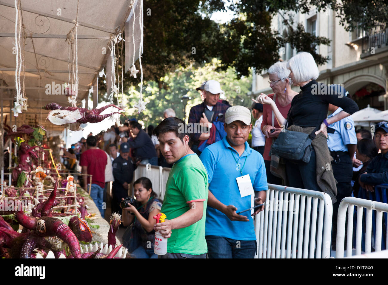 Radish festival participant sprays his exhibit to keep the radishes