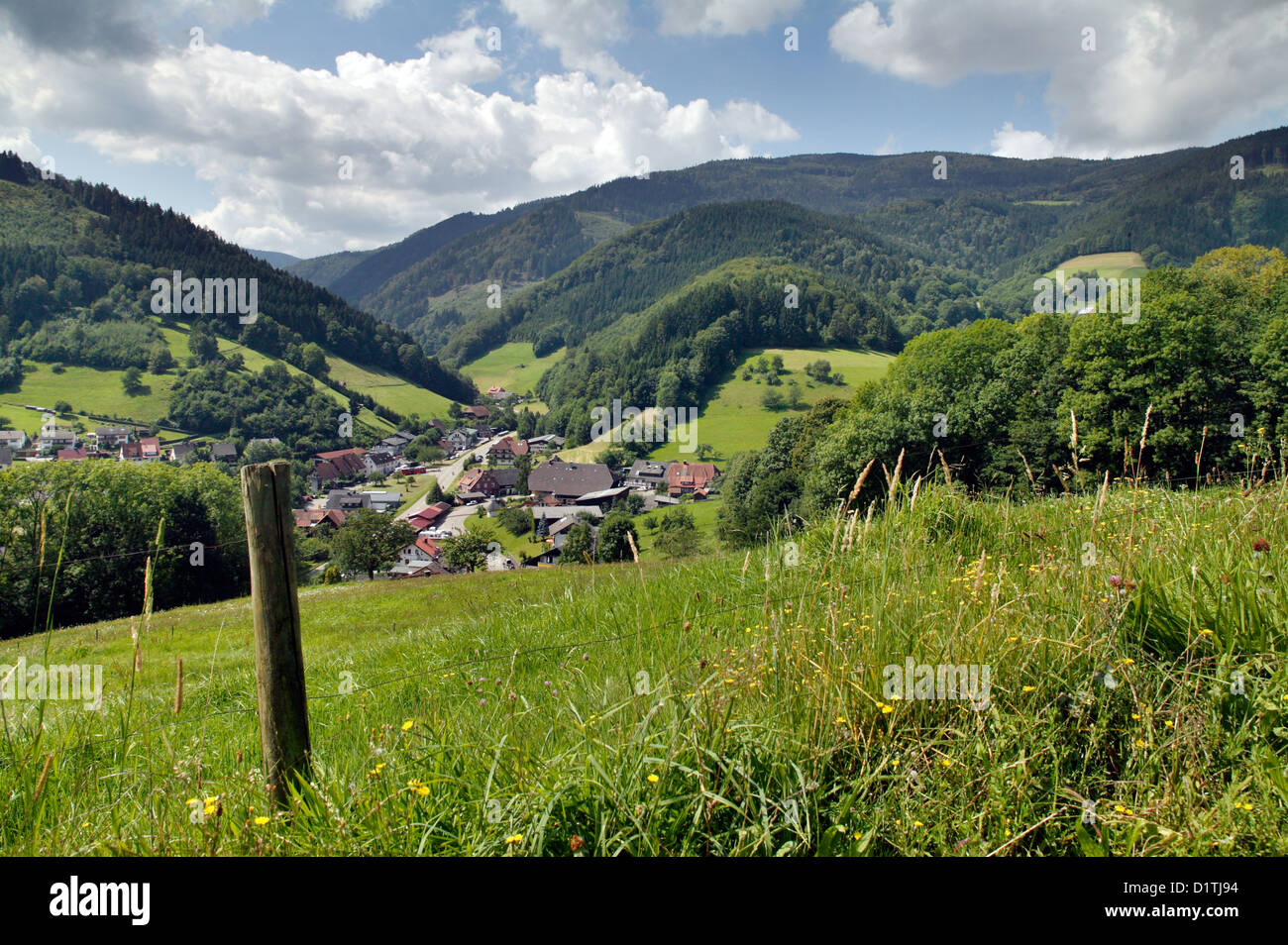 Oberried, Germany, mountains and town in the Black Forest Stock Photo