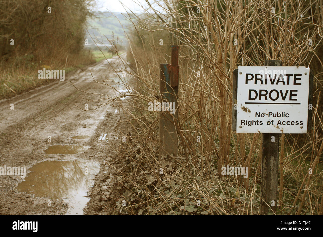 Private drove road, No public right of way sign on a muddy winters farm historic  access drovers road, 5th January 2013 Stock Photo