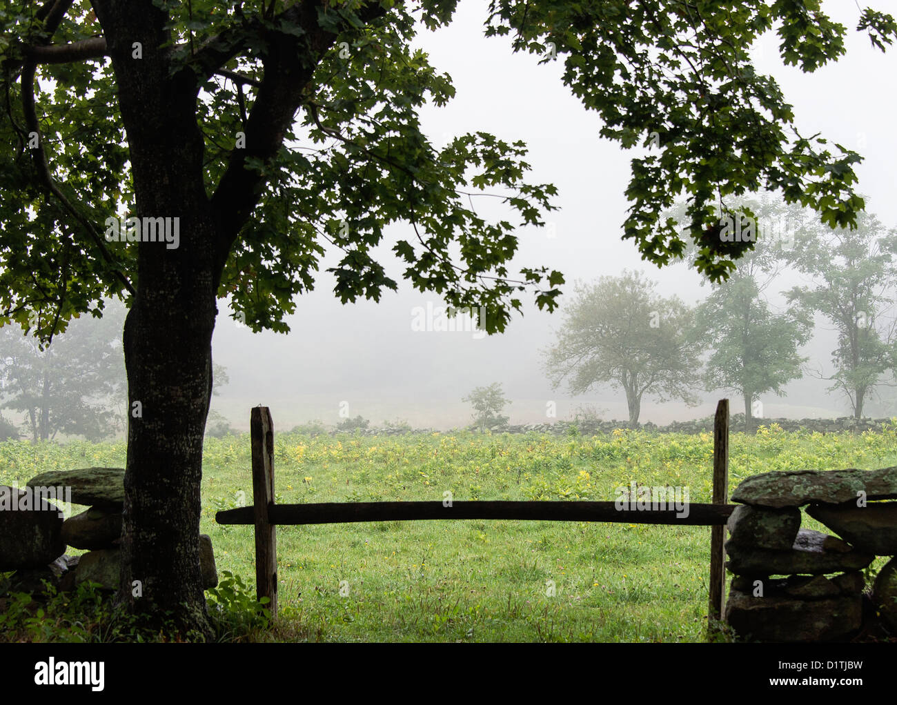 Rural scenic, West Tisbury, Martha's Vineyard, Massachusetts, USA Stock Photo