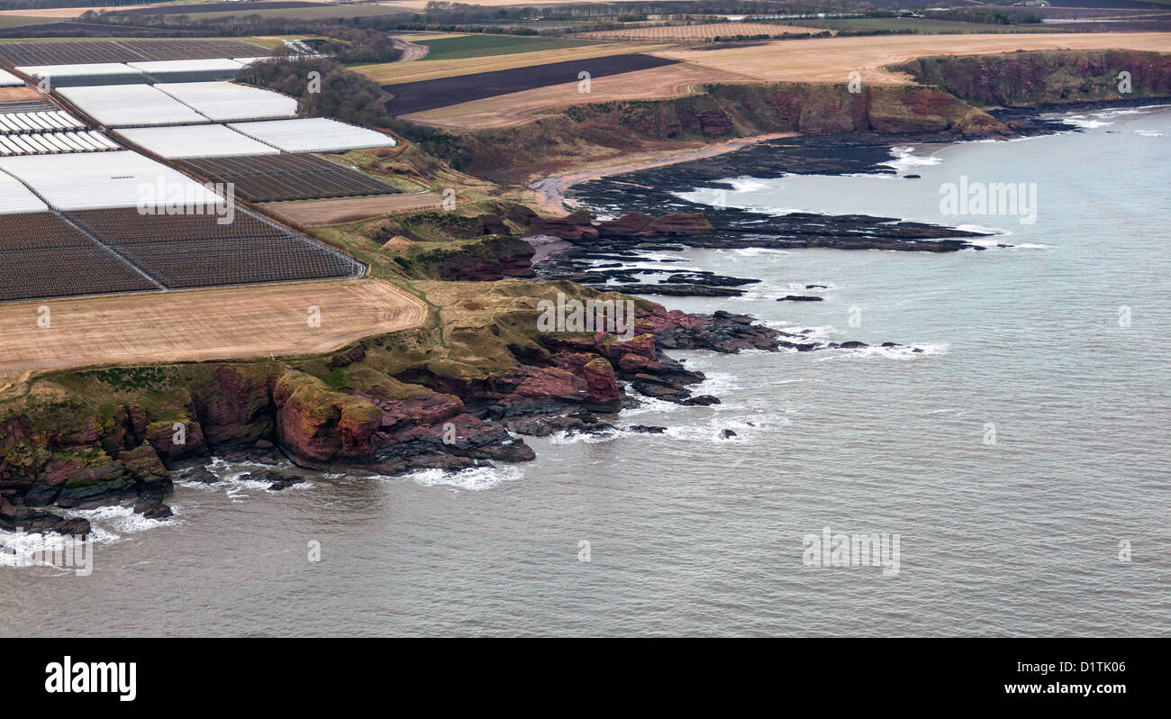 Aerial view of the Arbroath/Auchmithie cliffs on Scotland's East Coast
