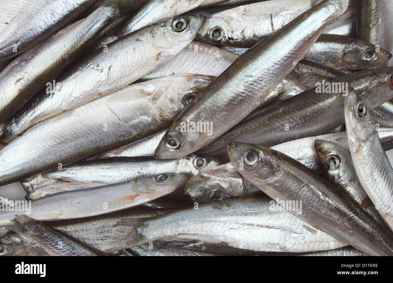 Closeup of small raw whitebait fish Stock Photo