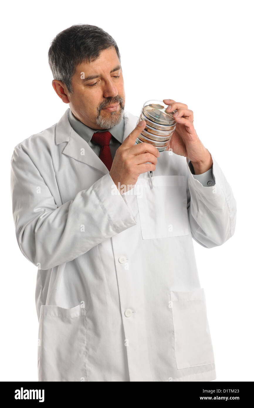 Mature Hispanic scientist holding petri dish with bacteria Stock Photo