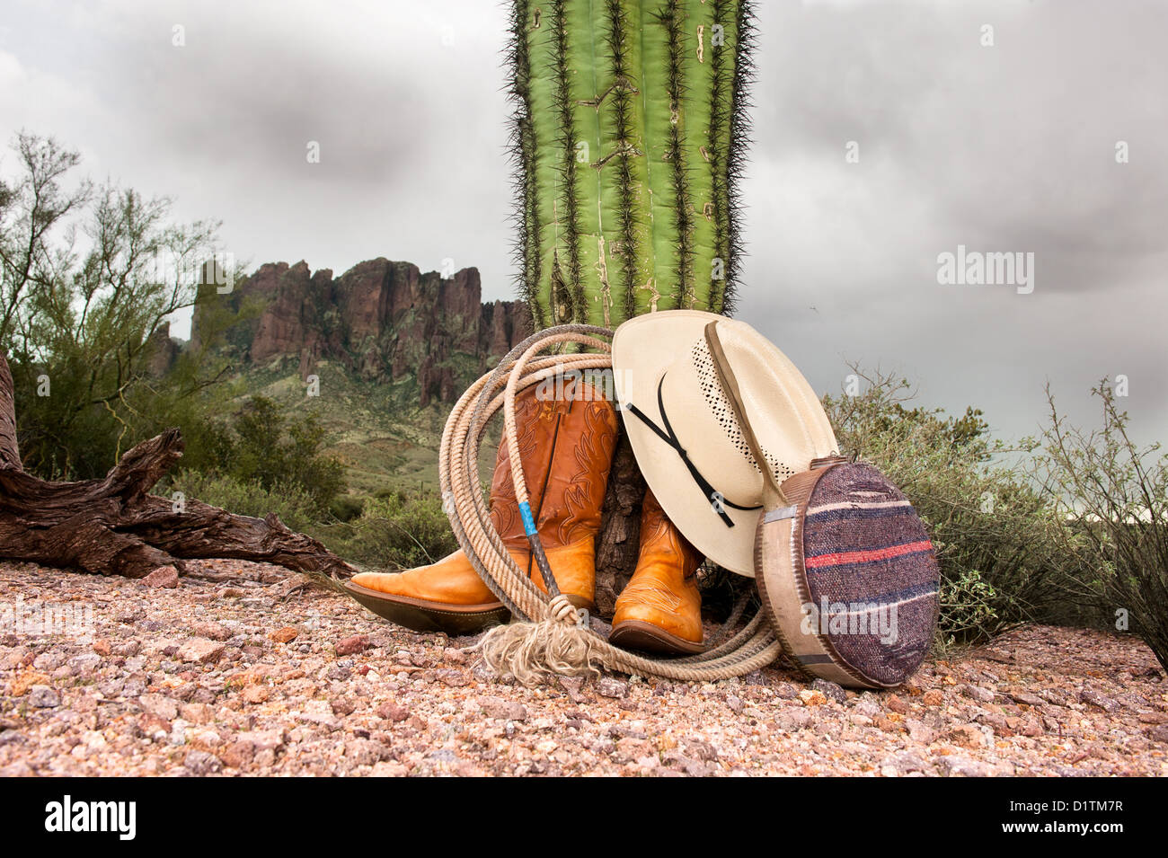 Cactus desert cowboy hi res stock photography and images Alamy