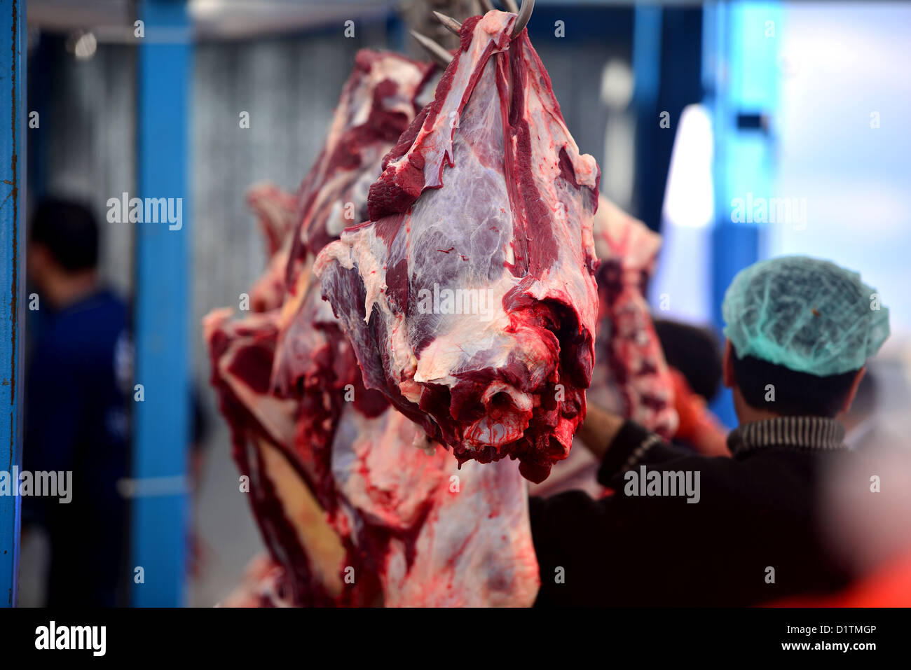 slaughterhouse cows, hanging on meat hook Stock Photo