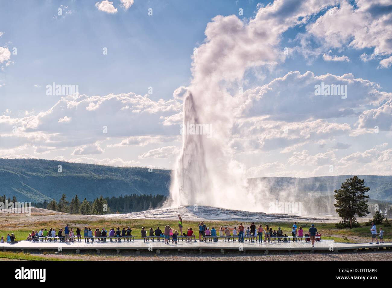 A crowd watches the Old Faithful geyser erupt during a summer visit to Yellowstone National Park Stock Photo