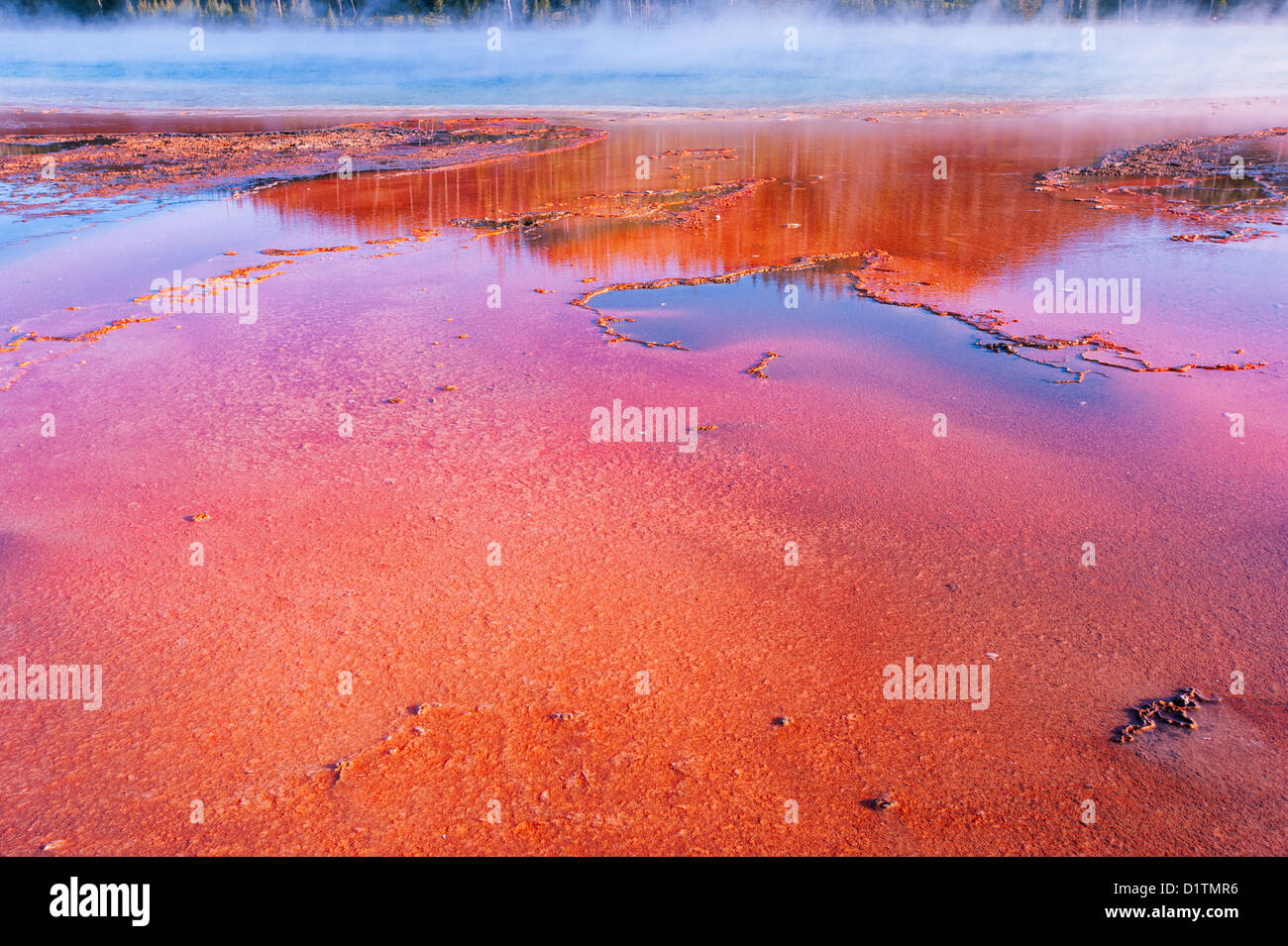 Horizontal photograph of the Grand Prismatic Pool in Yellowstone National Park. Stock Photo