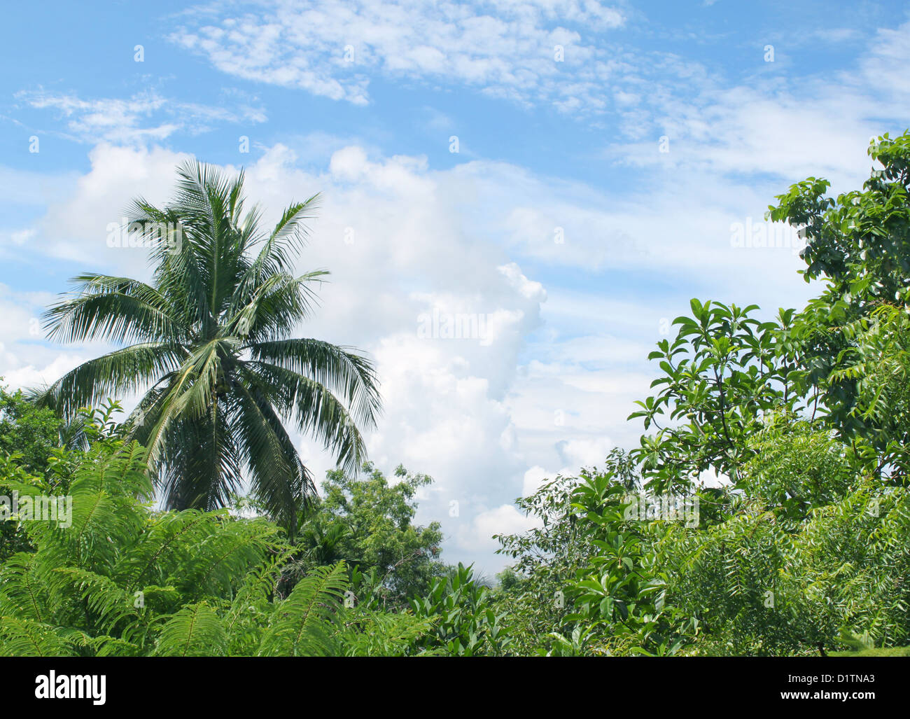 Green landscape with blue sky Stock Photo - Alamy