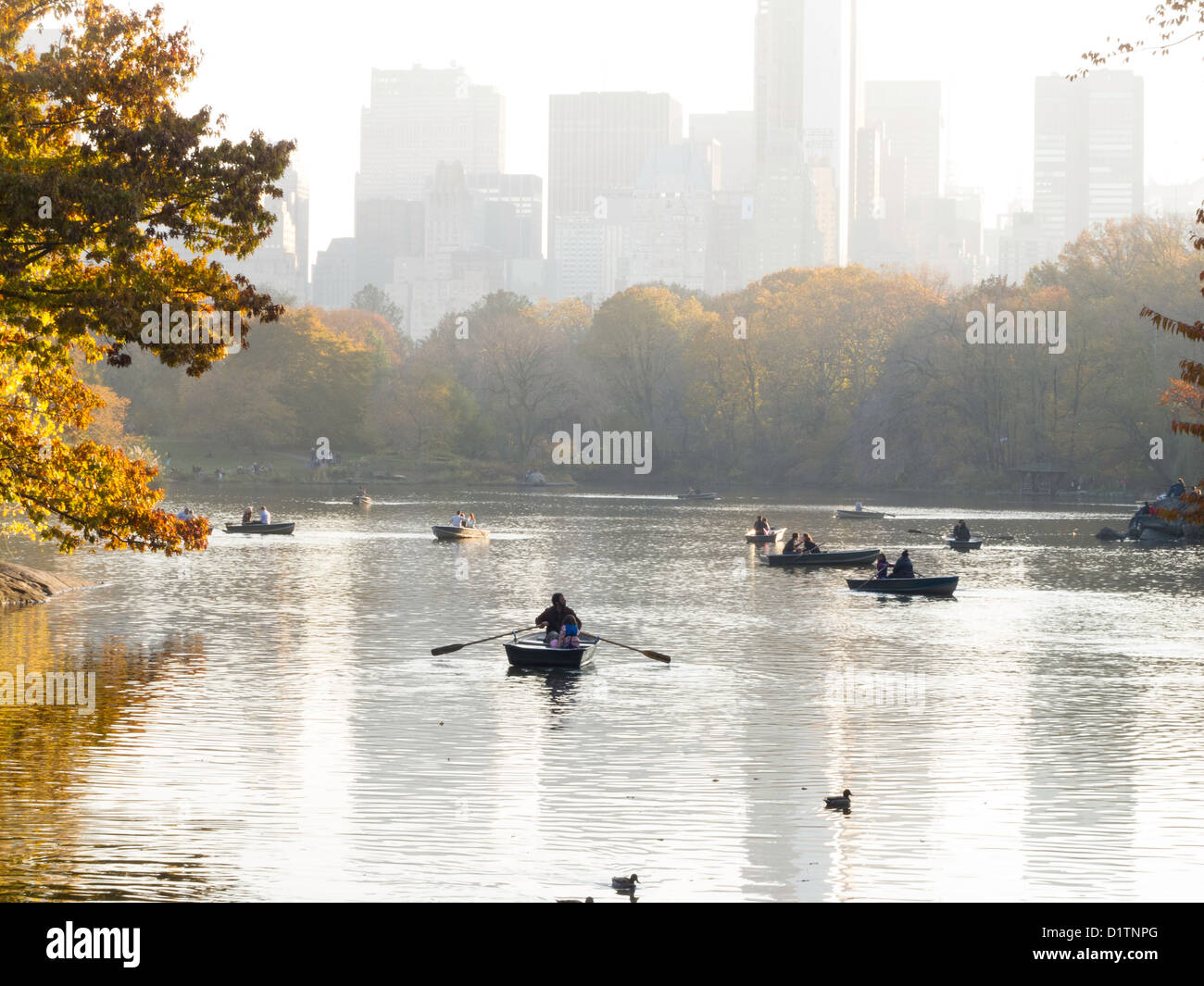 RowBoats on The Lake with Midtown Manhattan Skyline, Central Park, NYC