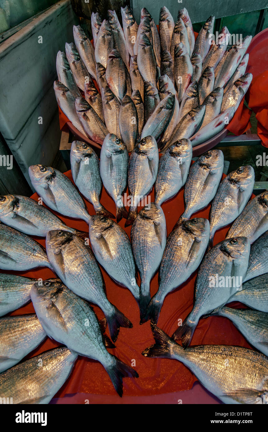 Fish for sale in the Egyptian Bazaar, Istanbul, Turkey Stock Photo
