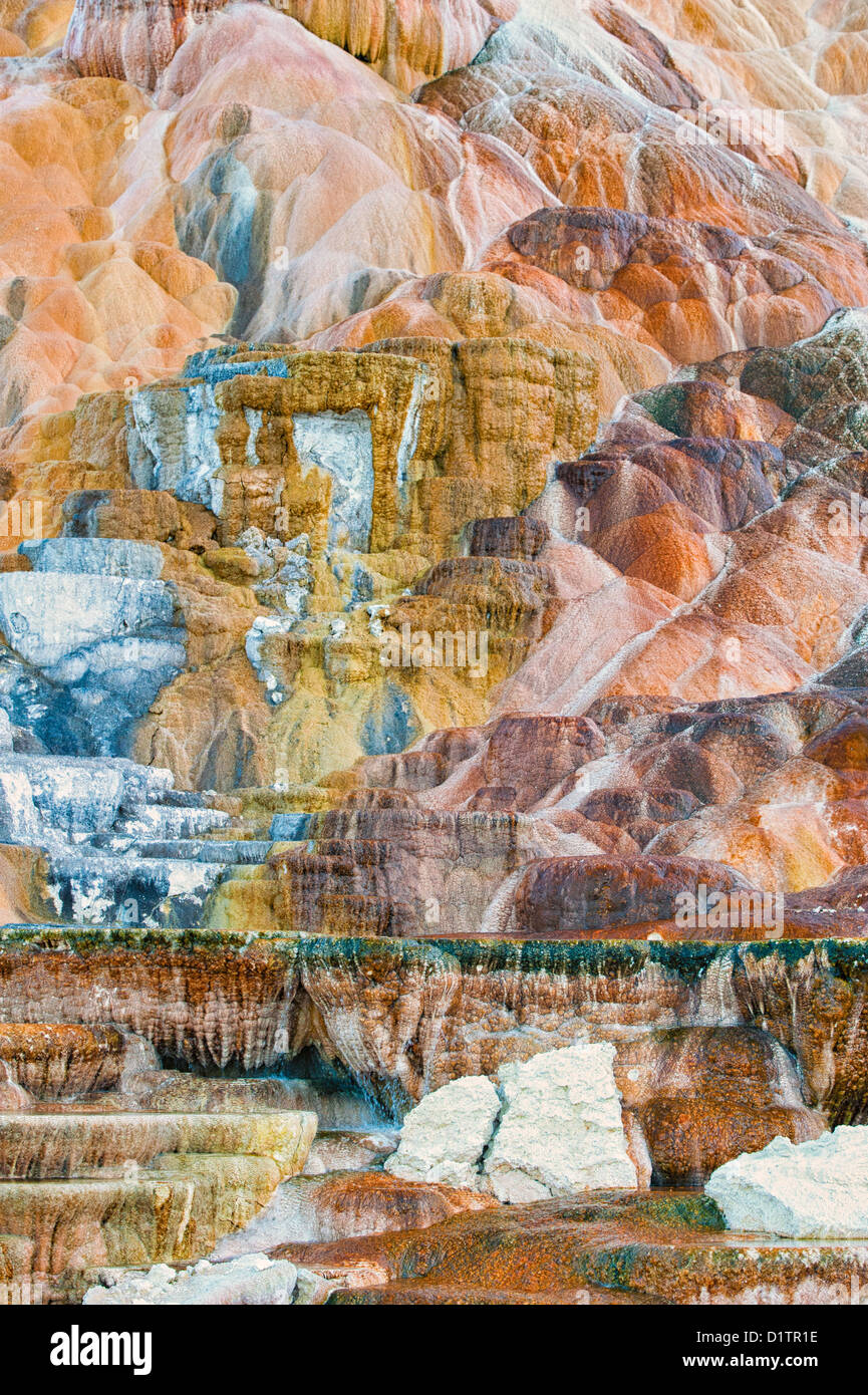 Vertical Photograph of the colorful Palette Spring from Yellowstone National Park. Stock Photo