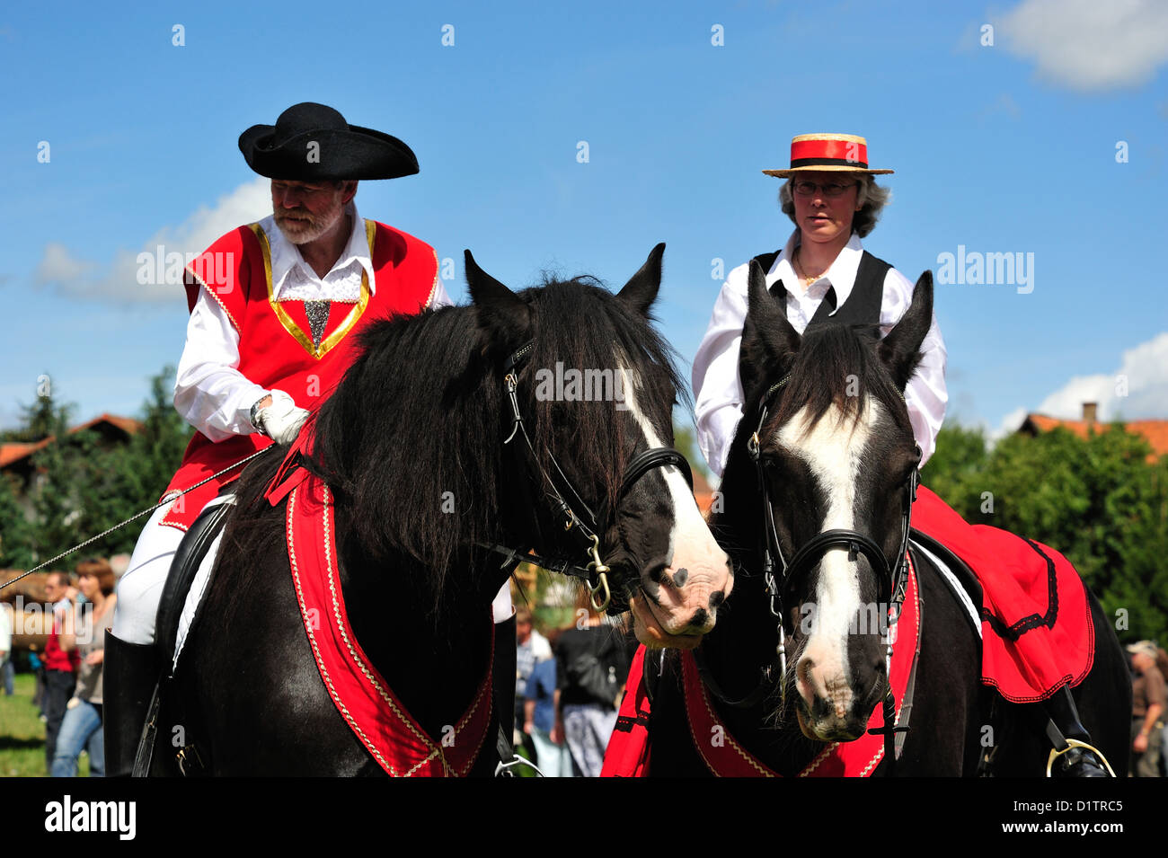 Shire-Hors auf dem Rosstag Bartholomae • Baden-Wuerttemberg, Deutschland Stock Photo