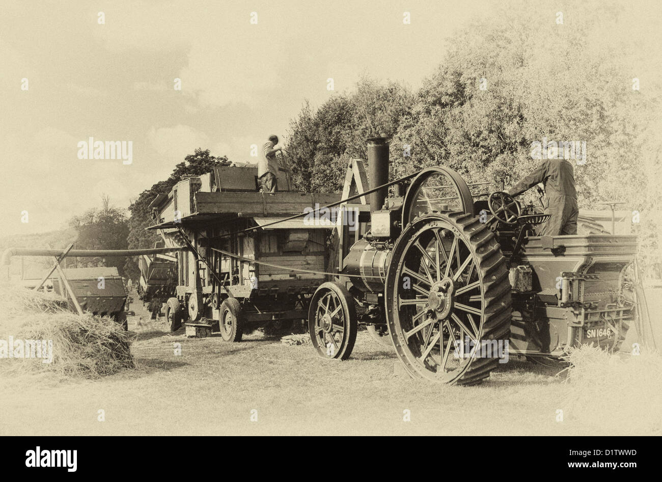 Threshing the old fashioned way, at the Singleton Weald and Downland
