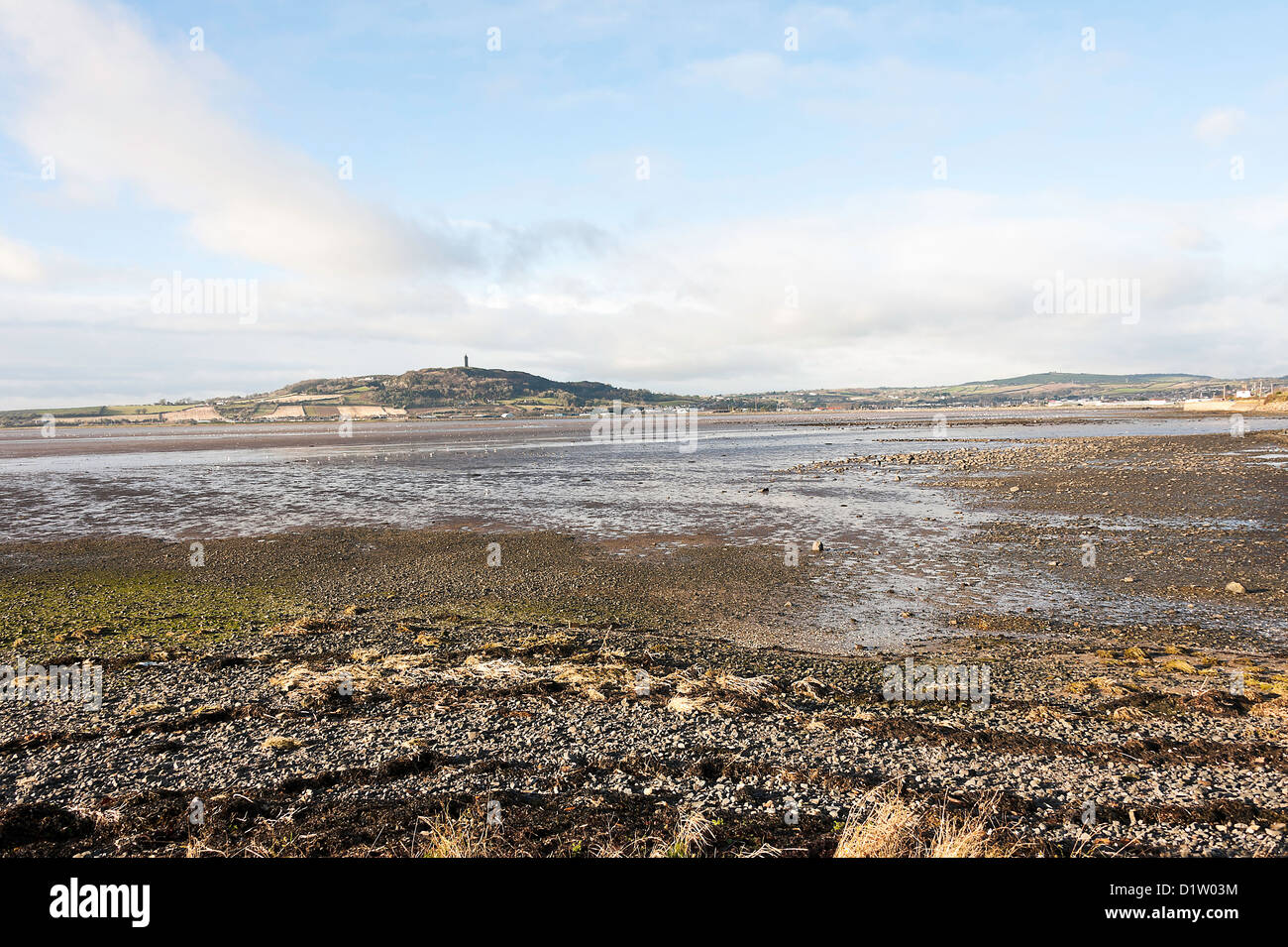 The View Across Strangford Lough Towards Strabo Tower County Down Northern Ireland United Kingdom UK Stock Photo