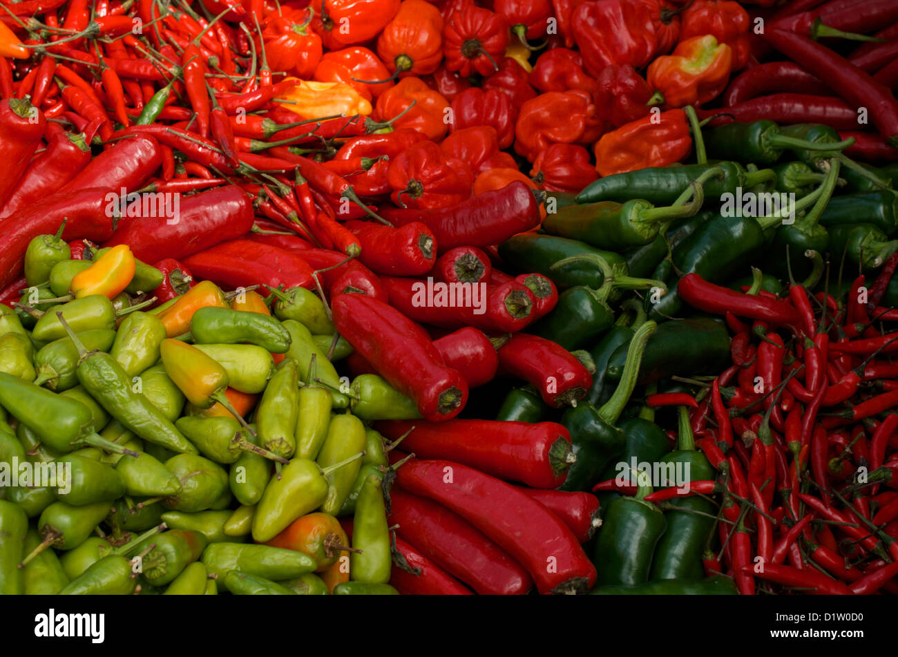 Assorted colourful Chilli's stacked on a stall at a Chilli Festival Stock Photo