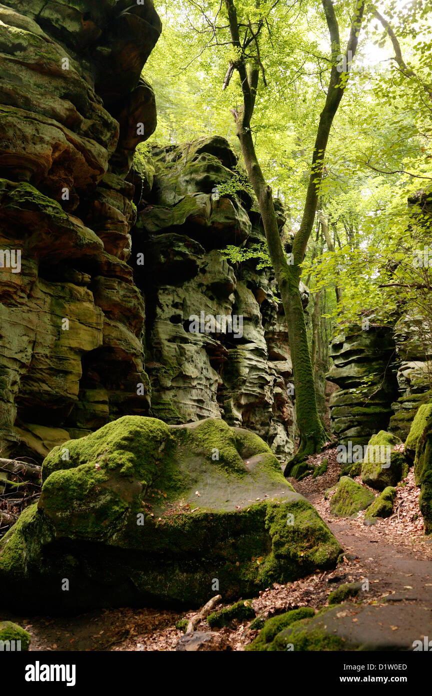 Ernzen, Germany, Felsbloecke in the Devil's Canyon Stock Photo