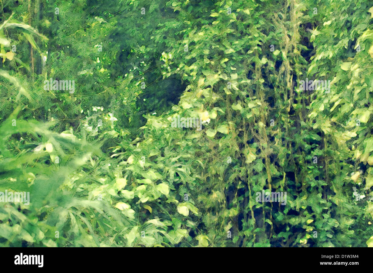 Green jungle painting Stock Photo - Alamy