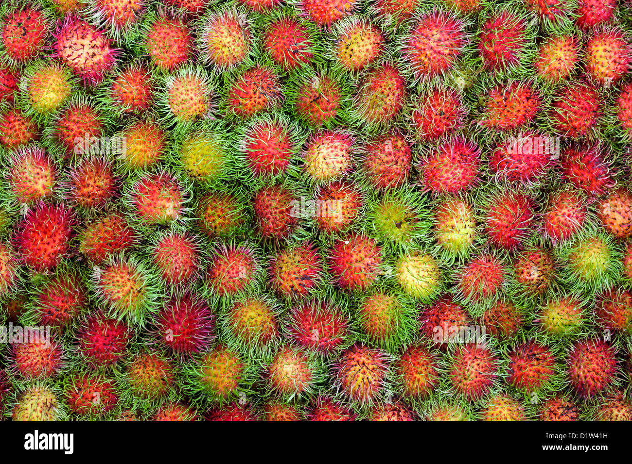 Fresh Rambutan fruits background Stock Photo