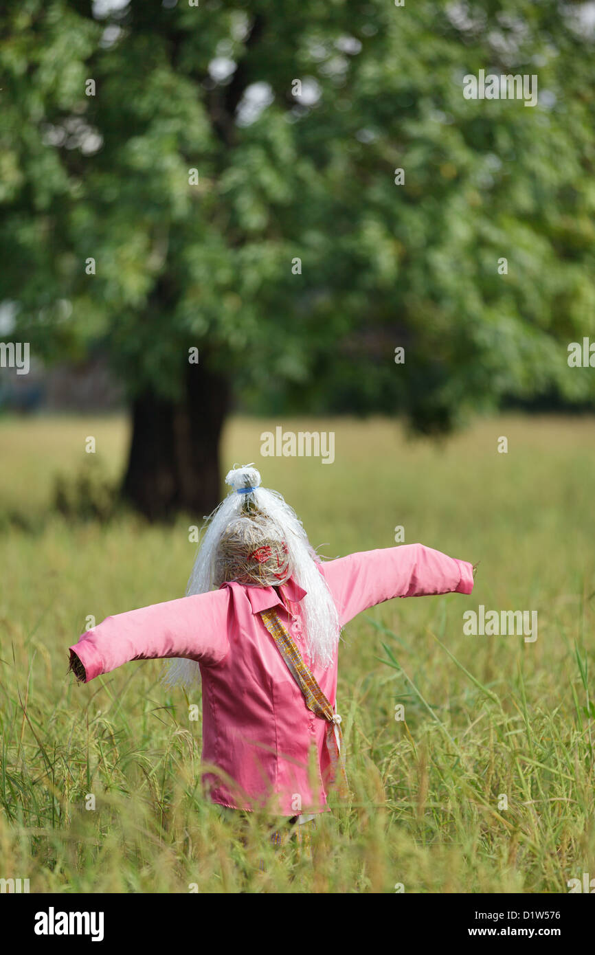 Funny straw scarecrow in rice field, Thailand Stock Photo