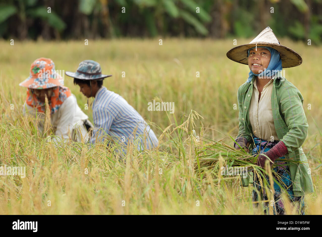 Smiling happy burmese family hi-res stock photography and images - Alamy