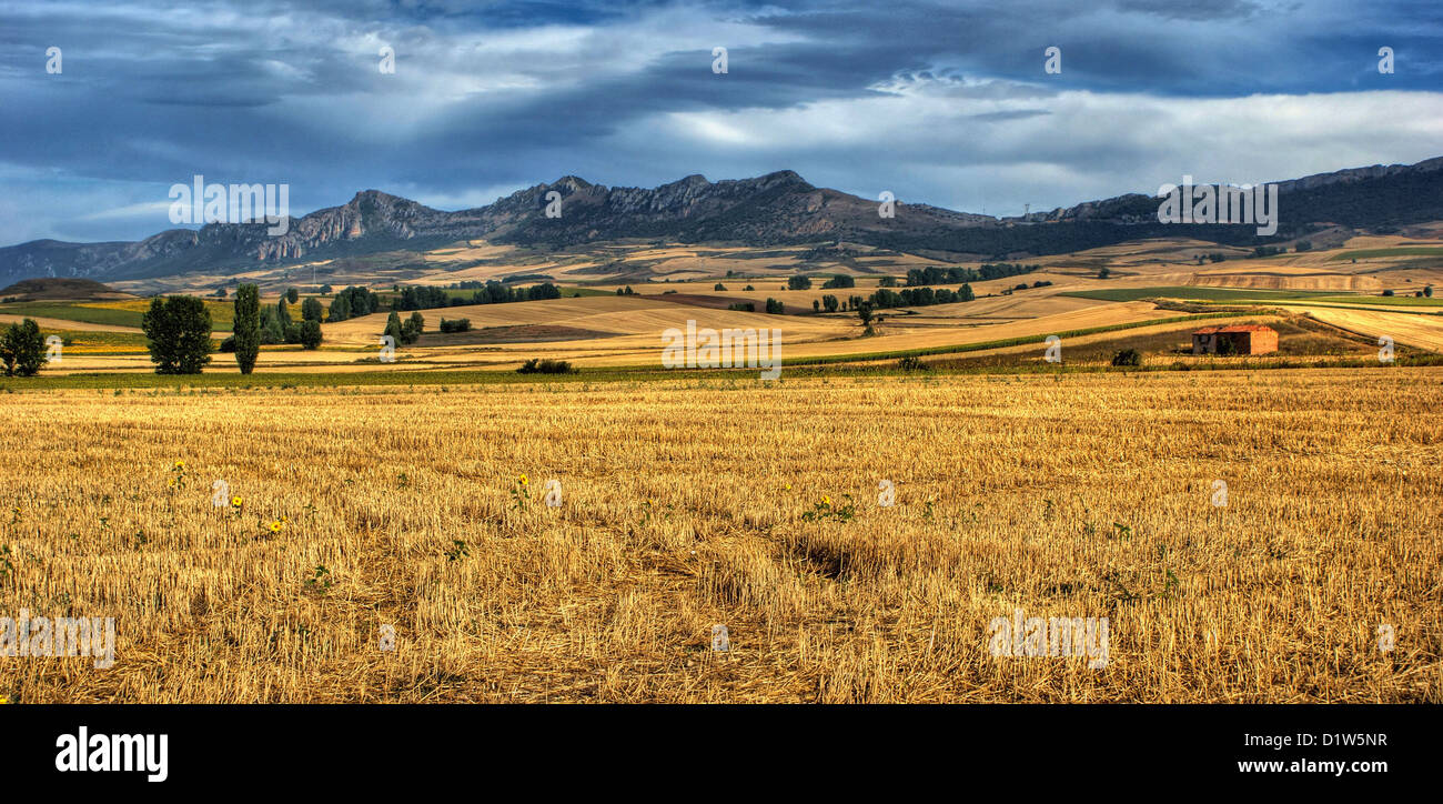 Castilla La Mancha landscape, Spain Stock Photo