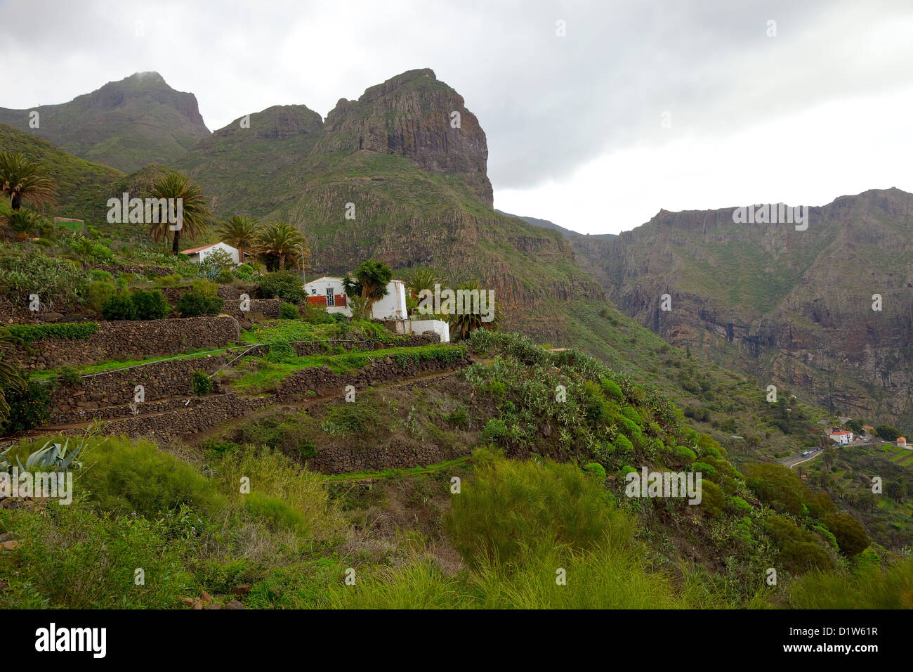 Masca  village in Tenerife Stock Photo