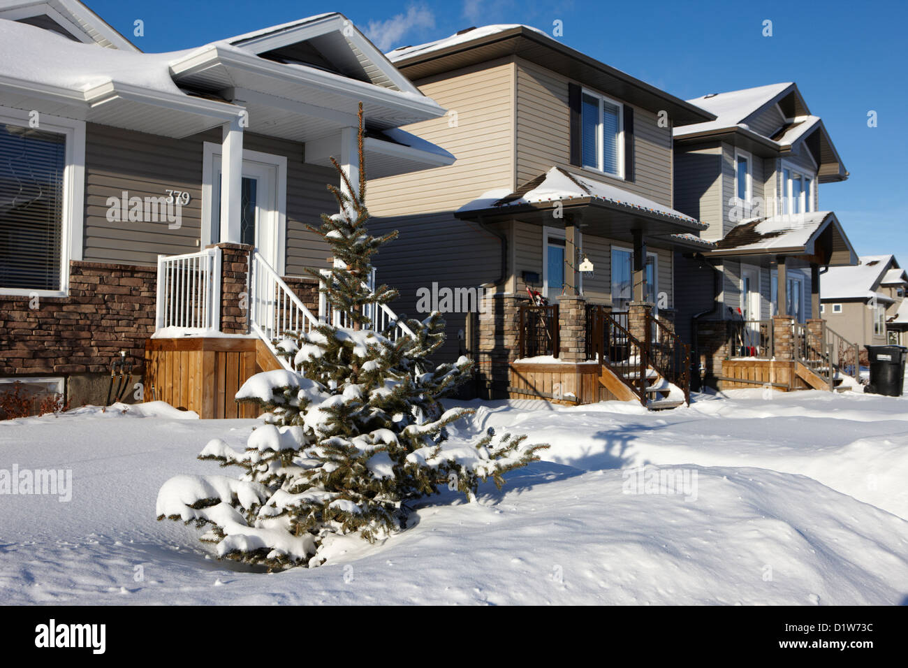 small fir christmas tree in front yard covered in snow Saskatoon Saskatchewan Canada Stock Photo
