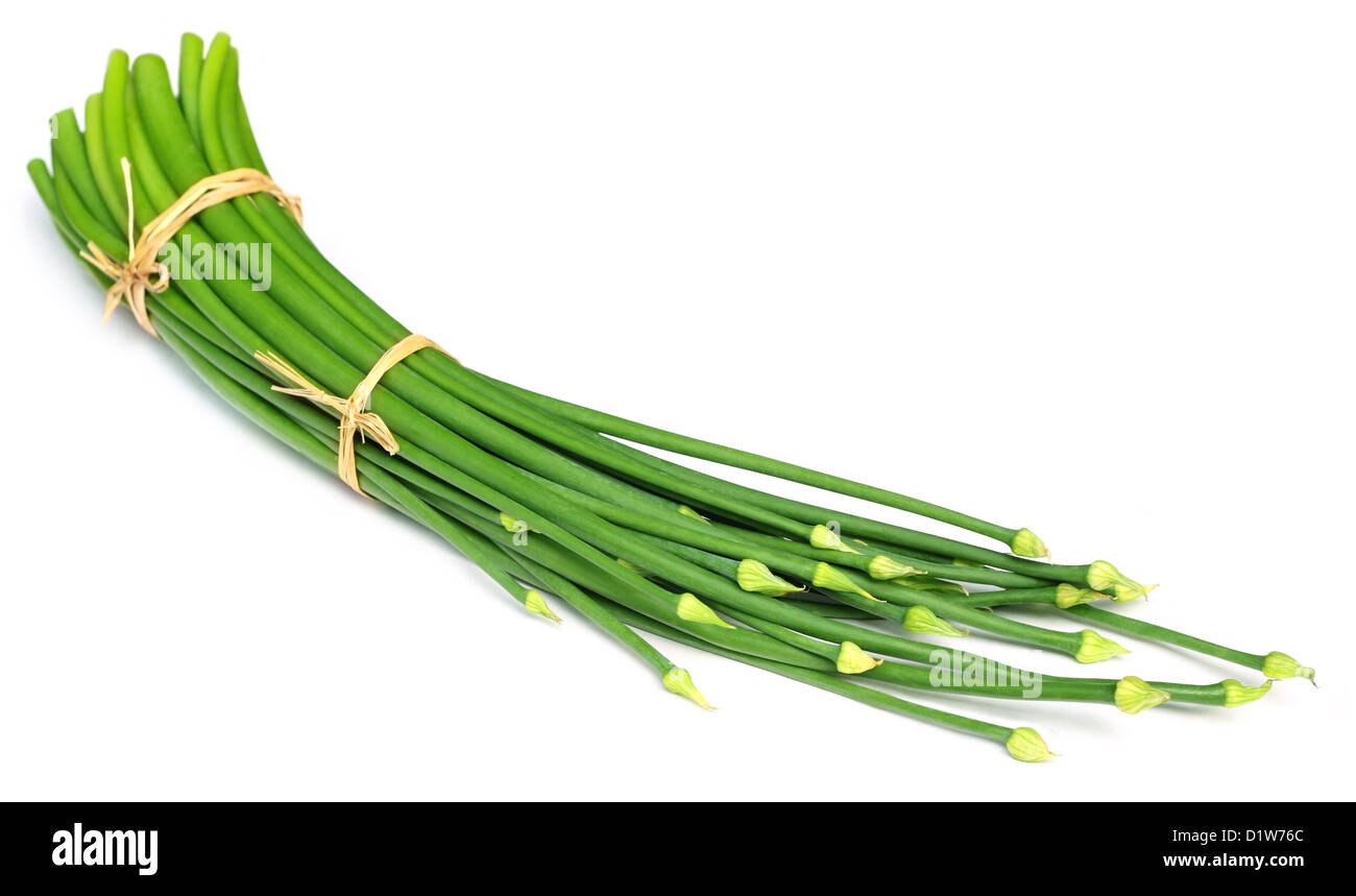 Onion leaves with flowers Stock Photo Alamy