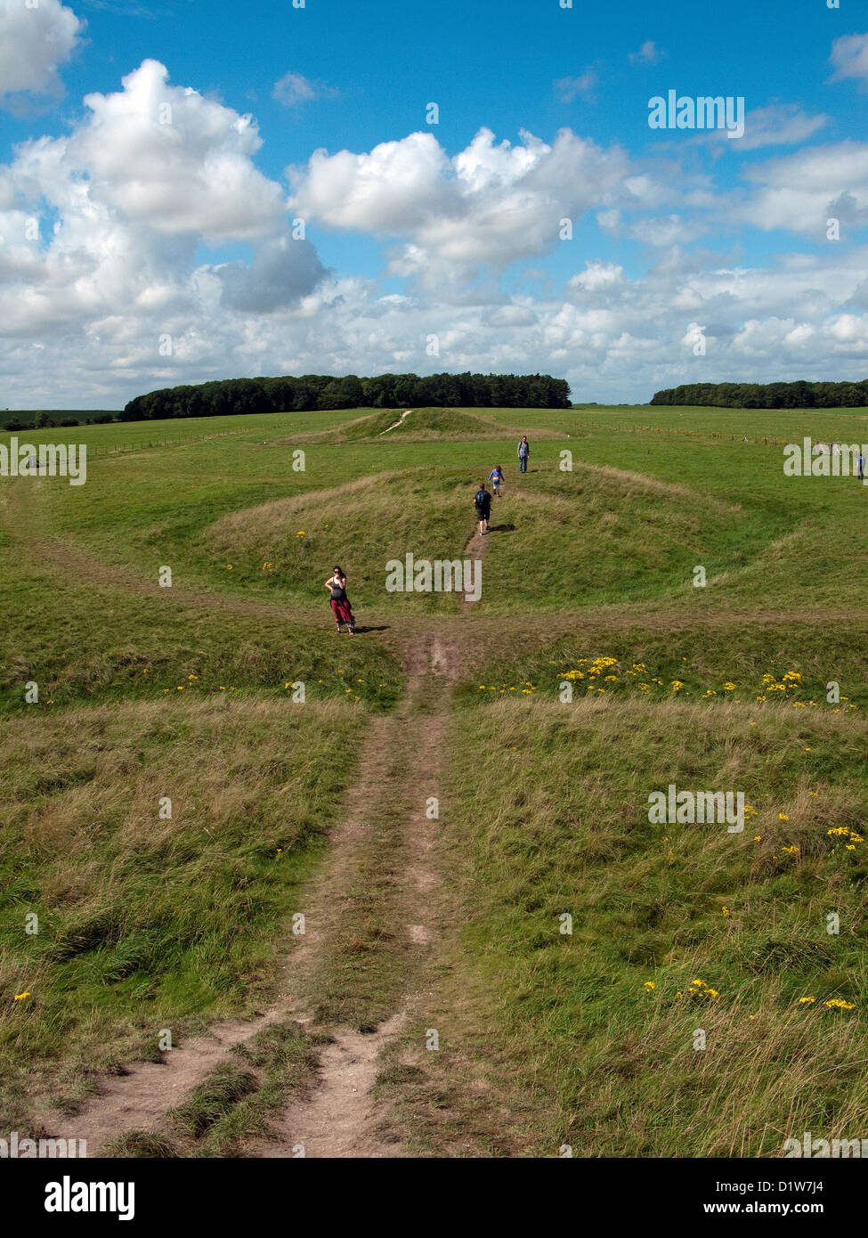 Bowl Barrow Burial mounds at Stonehenge in Wiltshire England UK Stock Photo