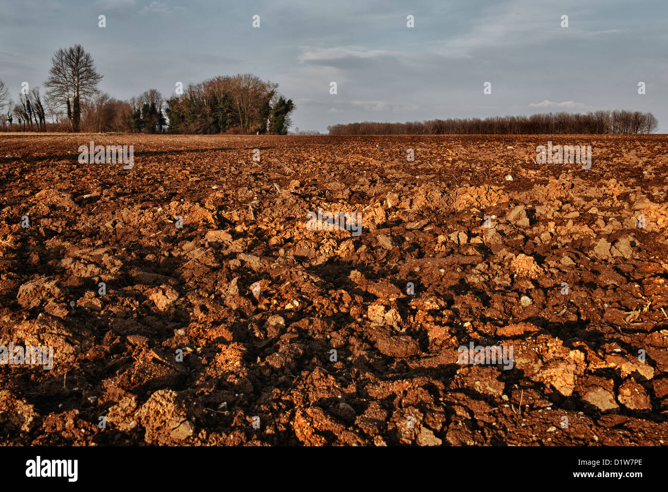 a field plowed in winter Stock Photo