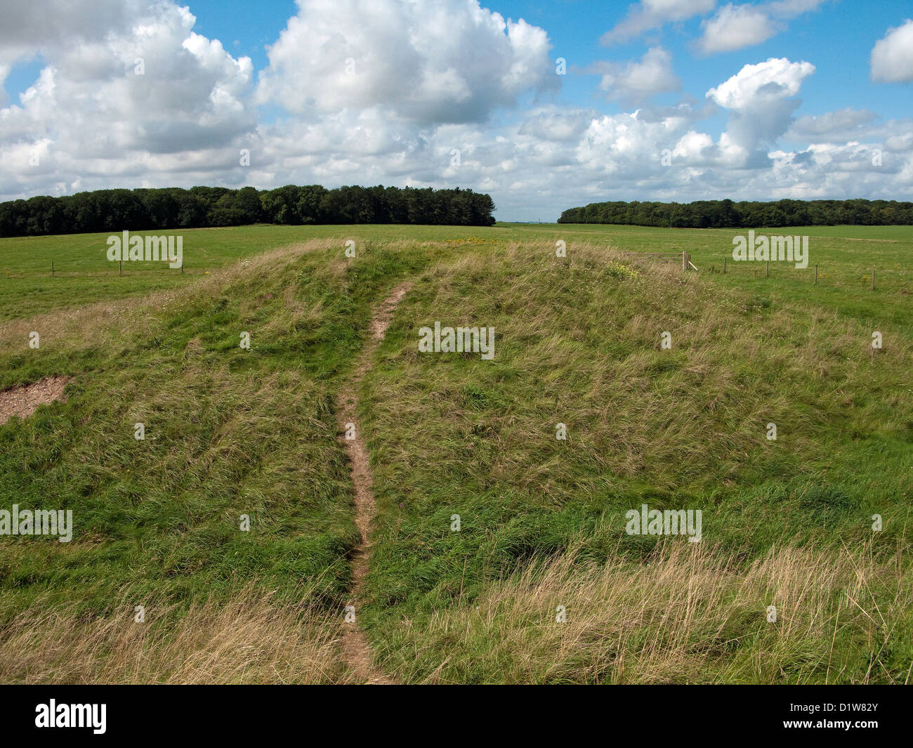 Bowl Barrow Burial mounds at Stonehenge in Wiltshire England UK Stock Photo