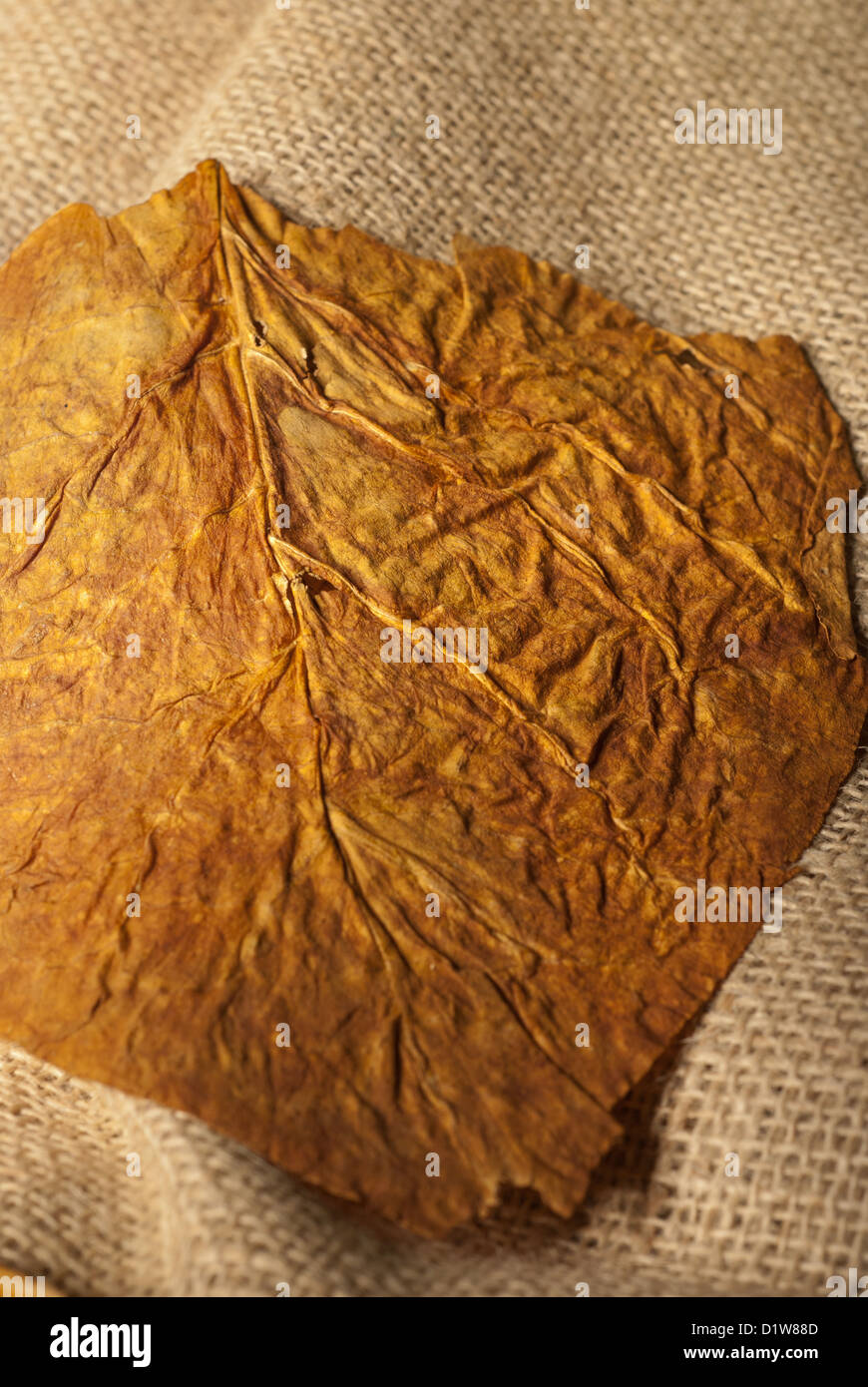 Golden virginia tobacco hires stock photography and images Alamy