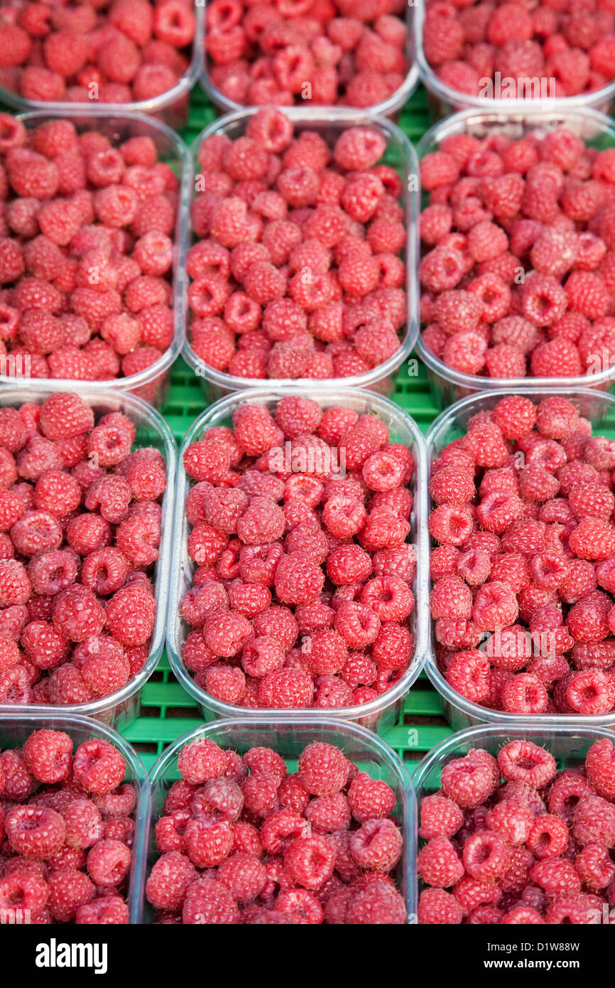 Raspberries for sale on a Market; Stall Stock Photo Alamy