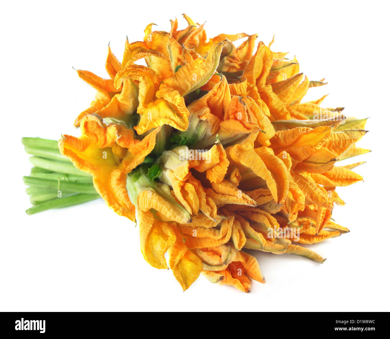 Edible pumpkin flower Stock Photo
