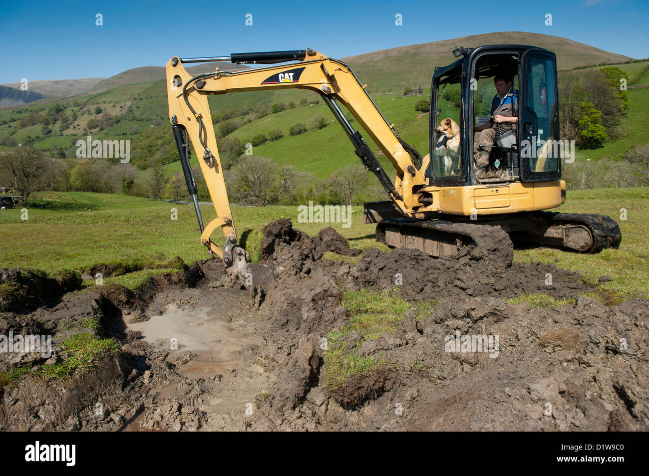 Repairing an old drain in an upland meadow with a CAT mini digger. Cumbria, UK Stock Photo