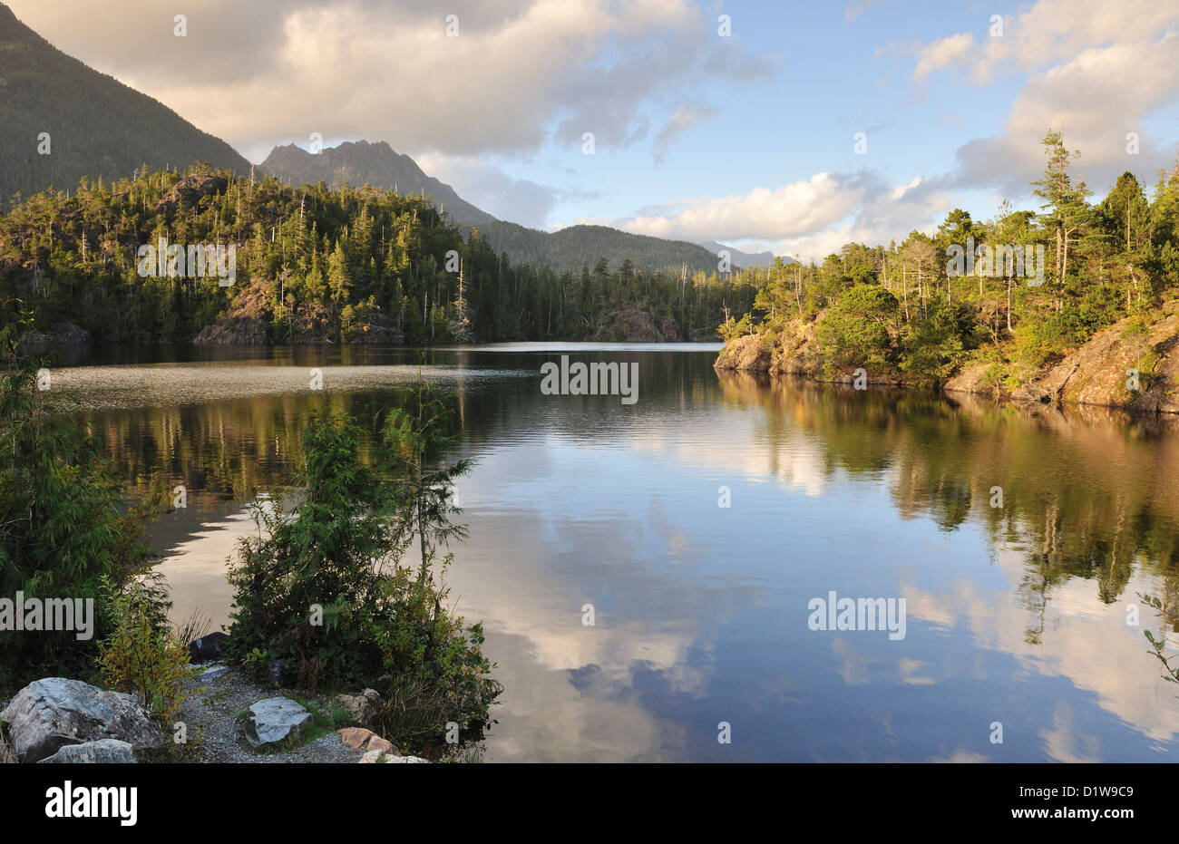 Kennedy Lake, Vancouver Island, British Columbia, Canada Stock Photo