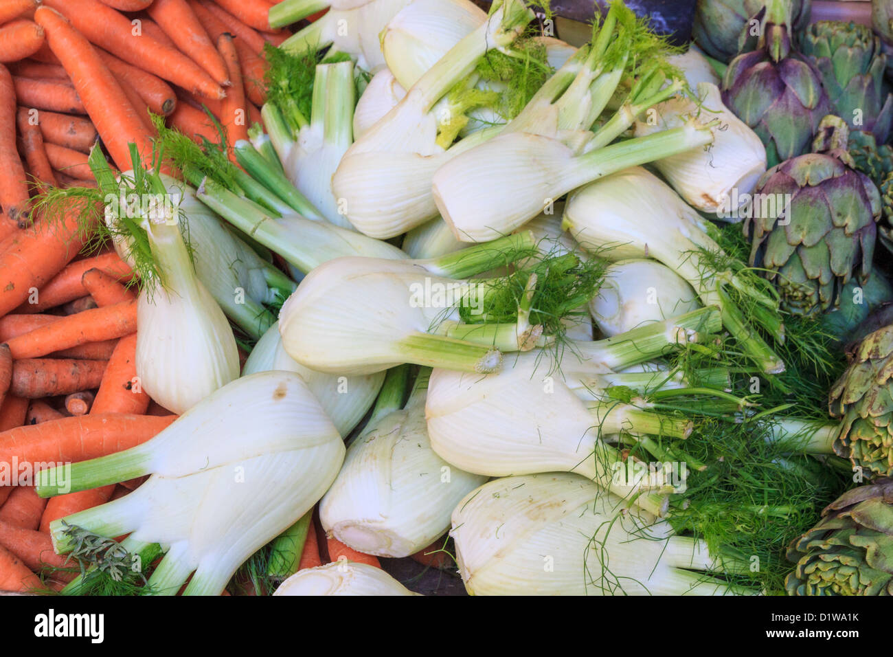 Fennel, carrots and artichoke at local market (close up view) Stock Photo